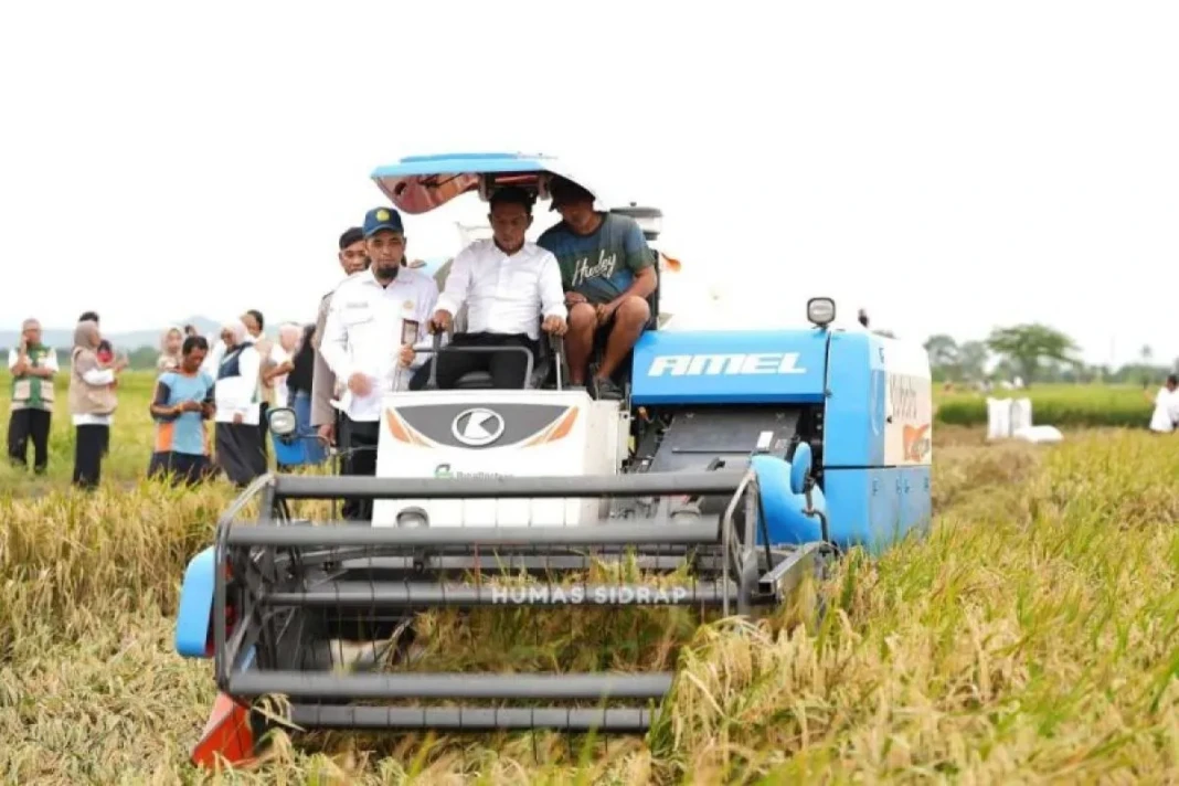 Bupati Sidrap secara simbolis mengoperasikan mesin combine harvester sebagai upaya penerapan mekanisasi pertanian, Kamis (29:1:2026).jpg