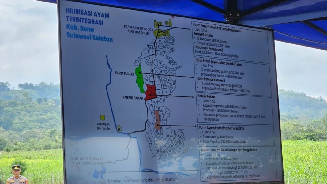 hilirisasi-ayam-bone-3