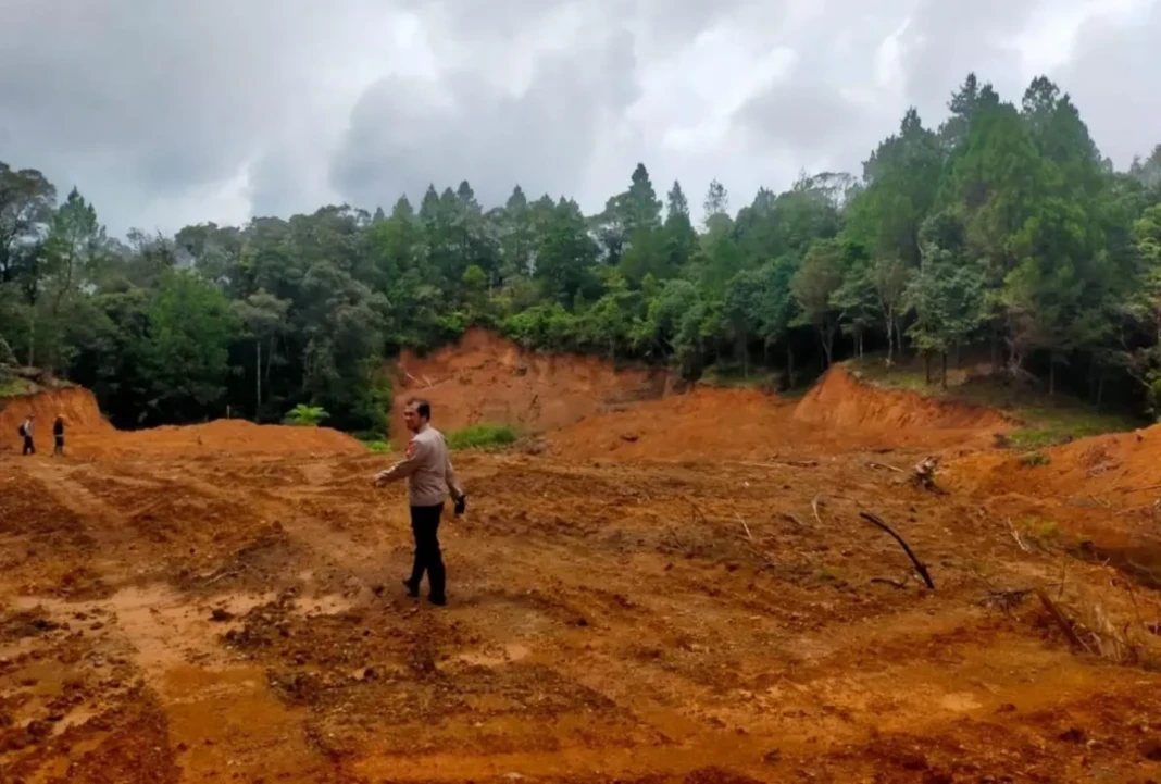 Hutan lindung di Gowa.jpg