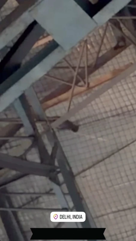 Pebulu tangkis Singapura, Loh Kean Yew