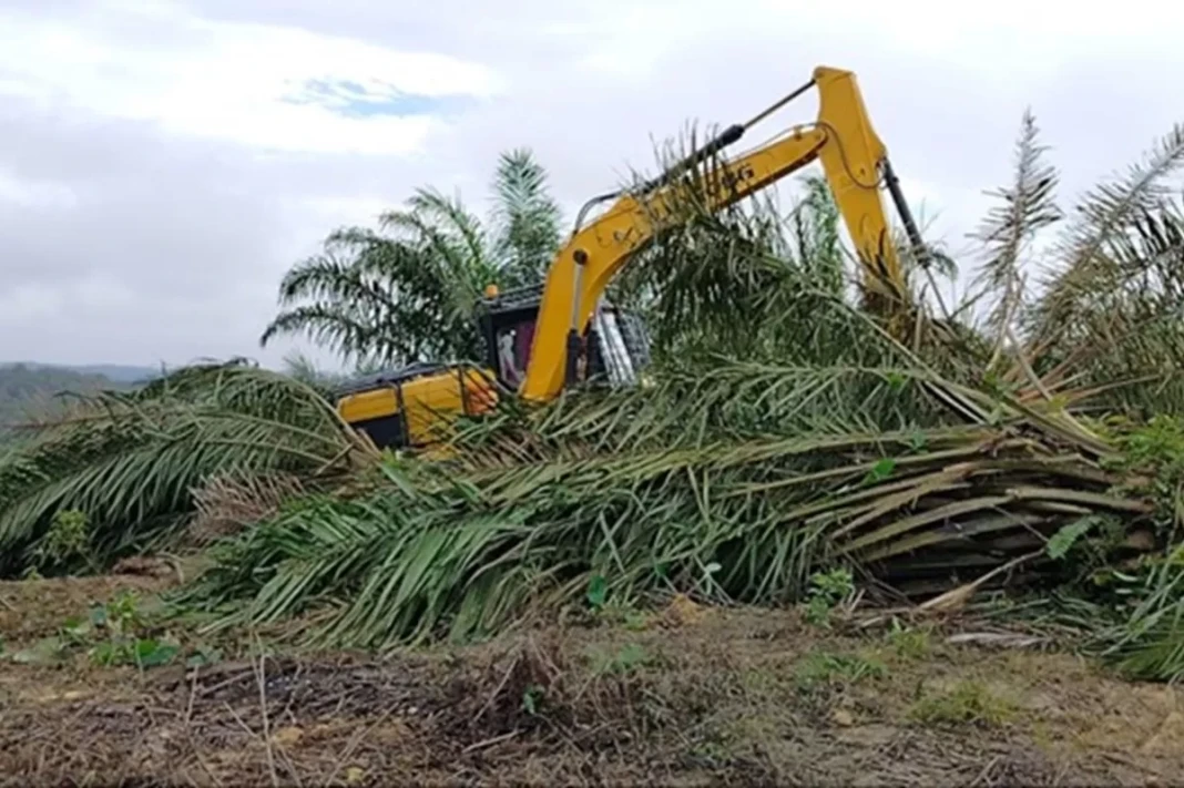 Kawasan Taman Nasional Tesso Nilo
