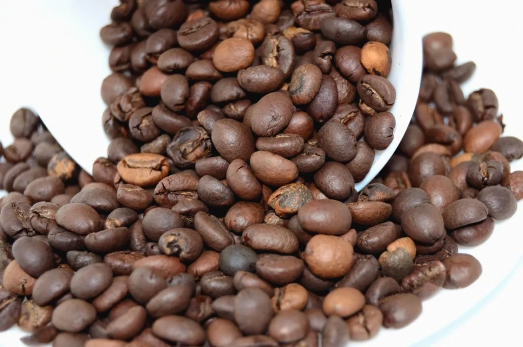 kopii