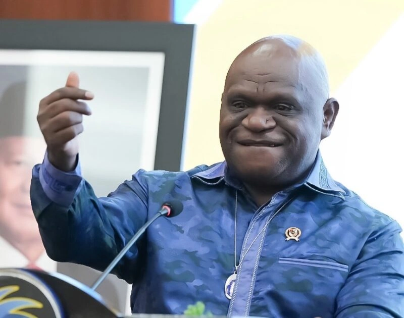 Natalius Pigai, Menteri HAM