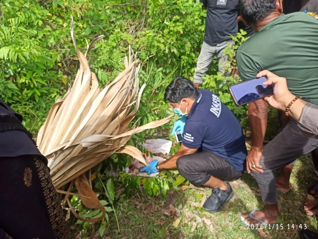 Penemuan janin di Bone