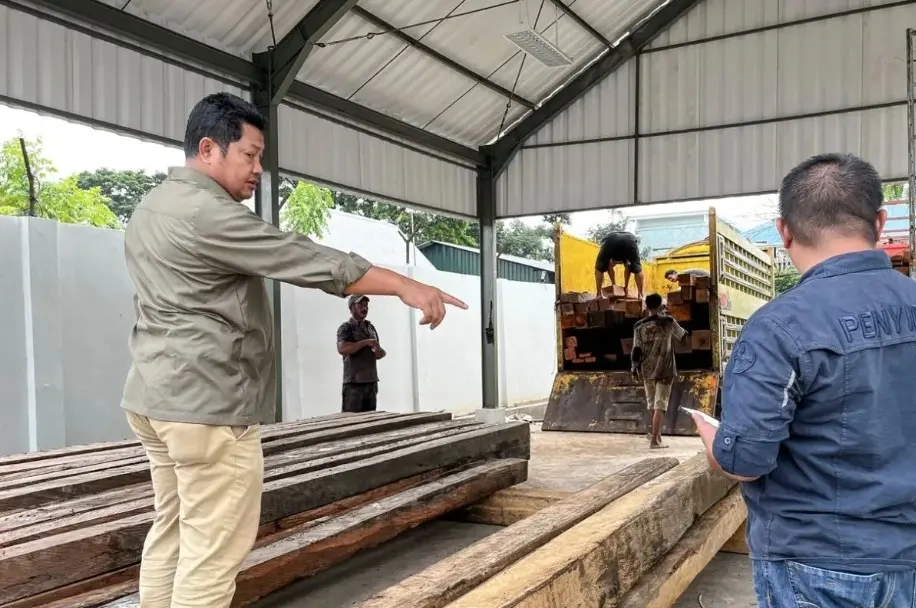 Petugas Gakkumhut mengamankan kayu ilegal di Luwu Utara. Dok. Kemenhut