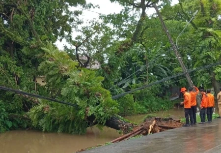 Pohon tumbang di Tello Baru, Makassar