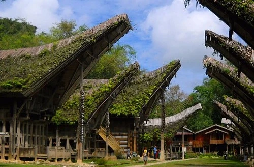Wisata budaya di Rantepao Toraja Utara