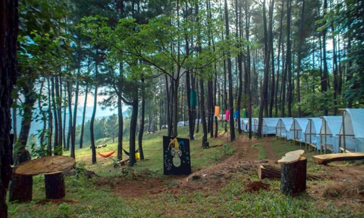 Hutan Pinus Bissoloro (Dok. smartcity Gowa)