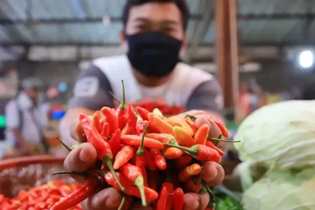 Ilustrasi cabai rawit di pasaran