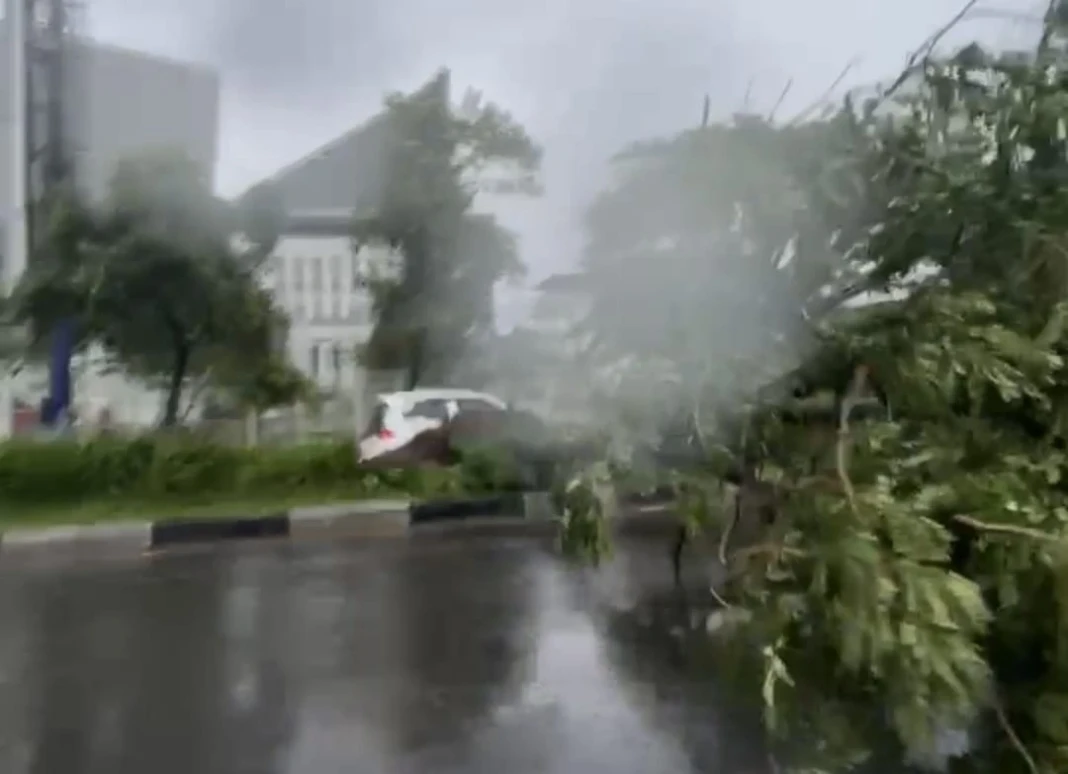 Pohon tumbang di depan Kampus UIM, Makassar, Minggu. Foto Alfa SulawesiPos.com