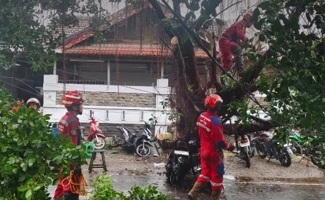 Pohon tumbang di Jalan Tupai, Minggu 