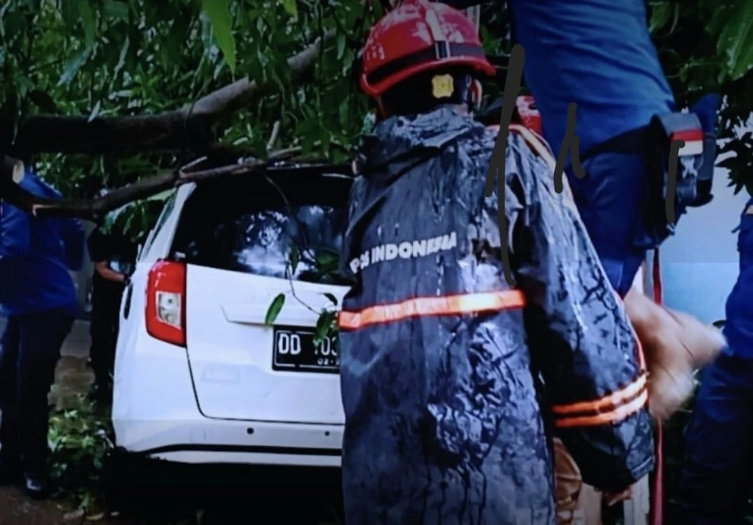 Proses evakuasi mobil yang tertimpa pohon tumbang di Makassar oleh Damkarmat, Kamis