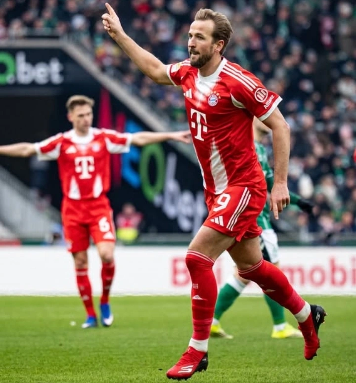 Screenshot_20260215_003432_Instagram