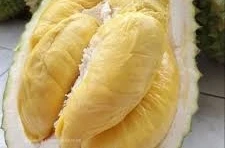 Durian Monthong khas Thailand.