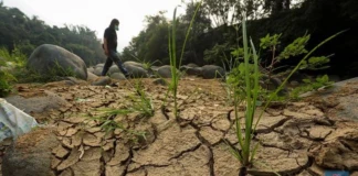 Ilustrasi kekeringan di Indonesia.