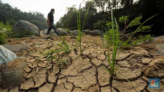 Ilustrasi kekeringan di Indonesia.