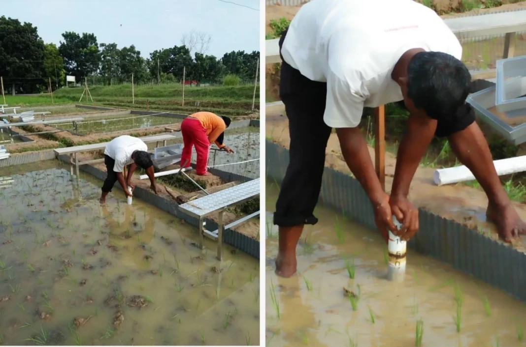 Kementan dan Pemprov Jawa Barat perkuat ketersediaan air serta dukungan benih untuk antisipasi kemarau April–Oktober 2026.