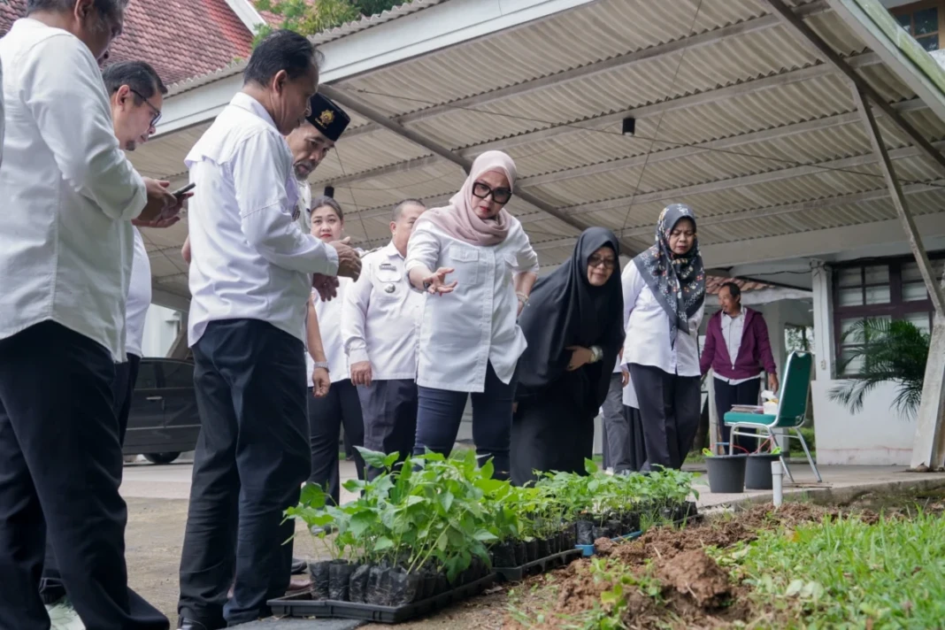 Launching Gerakan Tanam Cabai bagi ASN di lingkungan Pemerintah Kabupaten Barru