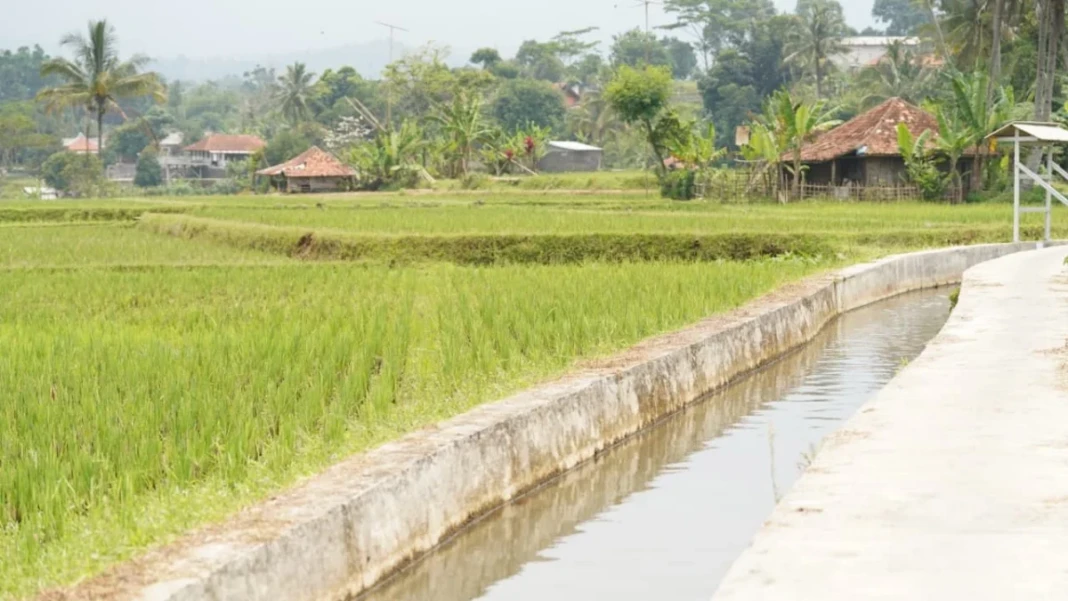 Lahan pertanian akan hadapi El-Nino 