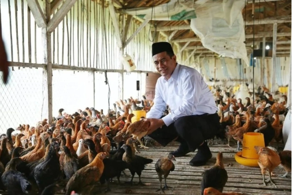 Mentan Amran meninjau salah satu kandang unggas