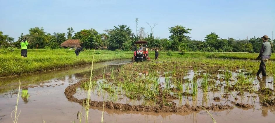 Penggunaan Alsintan di sawah
