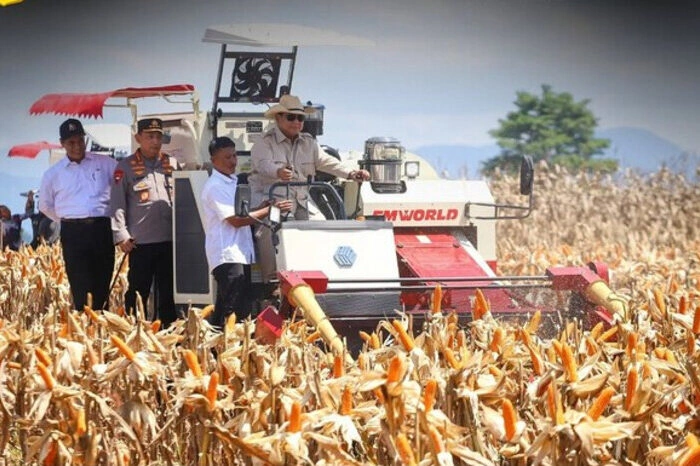 Presiden Prabowo memanen jagung bersama Mentan dan Kapolri