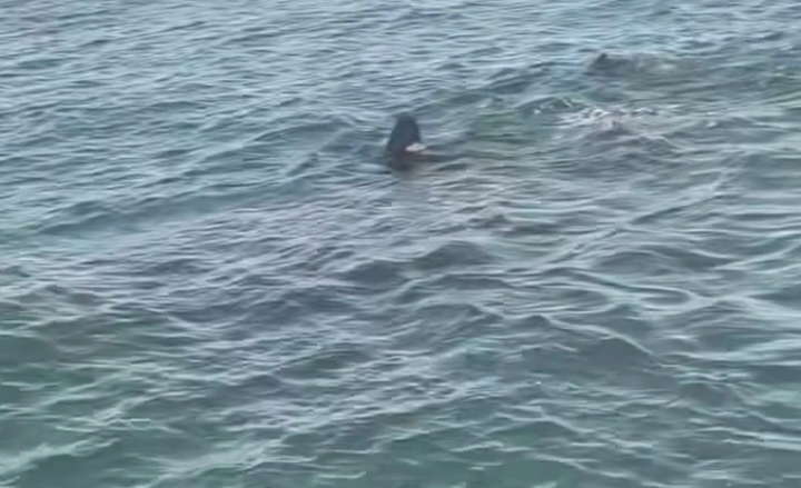 Screenshot_20260416_163616_Instagram