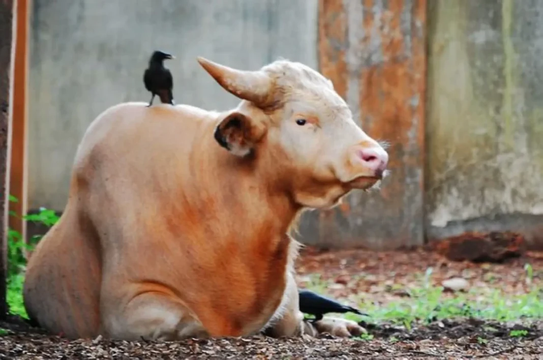 U7ksOnTNZl6G3GMXRO9D