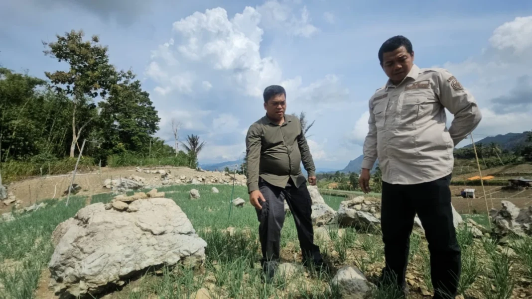 Program Kementan Horticulture Development in Dryland Areas Project (HDDAP) di Kabupaten Enrekang akan dilaksanakan di 10 kecamatan dengan fokus pengembangan komoditas unggulan hortikultura.