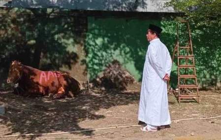 Pulang dari Tanah Suci, Menteri Pertanian Andi Amran Sulaiman langsung menyembelih dua ekor sapi kurban berbobot 700 kilogram di AAS Building Makassar bersama IKA Unhas, AAS Foundation, dan Tiran Group.