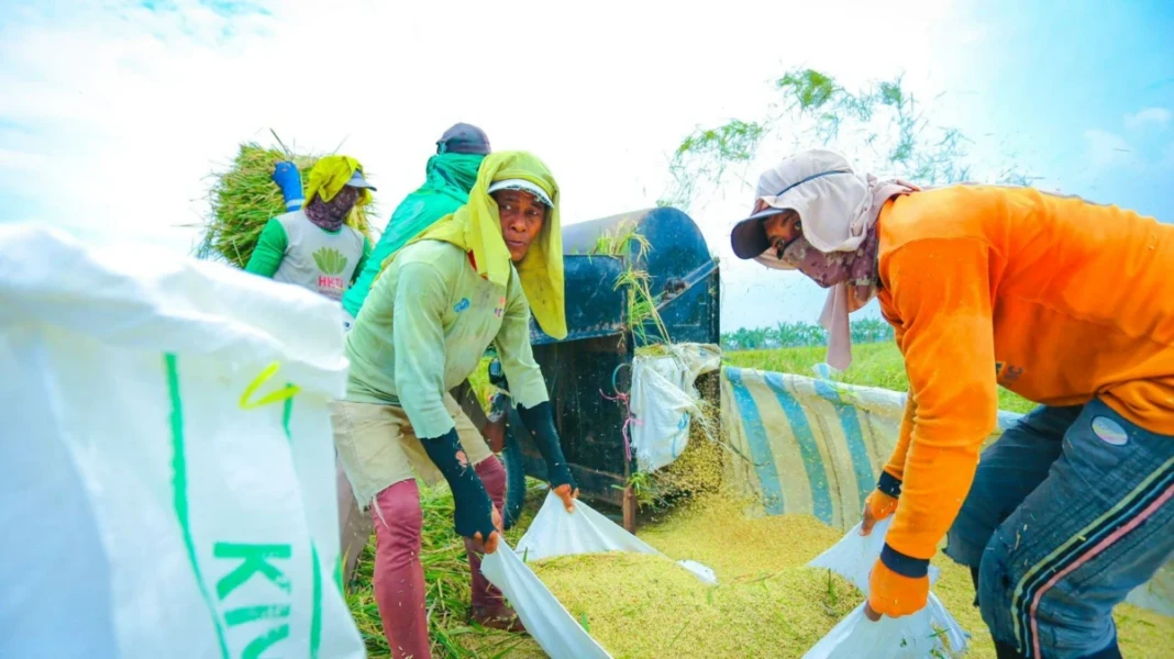 BPS melalui Deputi Bidang Statistik Distribusi dan Jasa, Ateng Hartono, menyampaikan bahwa kinerja produksi padi dan beras nasional pada Semester I 2026 menunjukkan tren yang relatif stabil.