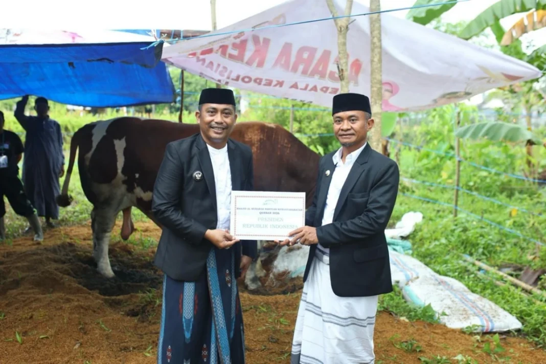 Bupati Bone menyerahkan sapi kurban bantuan Presiden Prabowo Subianto untuk Idul Adha 1447 H