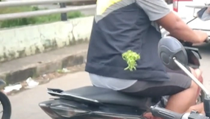 Driver maxim dibusur pak ogah di Makassar.