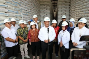gudang sewa 2