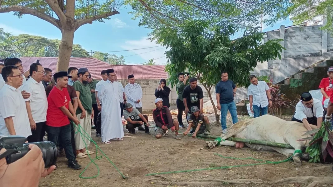 Menteri Pertanian Andi Amran Sulaiman langsung melaksanakan kurban dua ekor sapi berbobot masing-masing 700 kilogram setibanya dari Tanah Suci