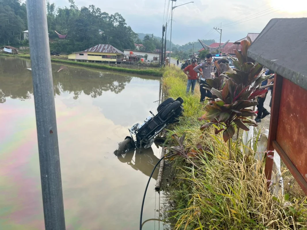 Moge yang terjun di sawah usai menabrak bocah 10 tahun di Toraja Utara