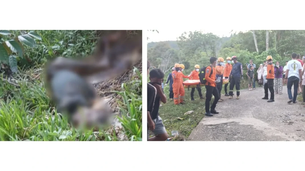 Penemuan mayat lansia di Palopo setelah hilang selama 10 hari