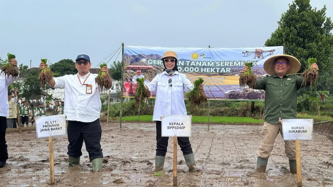 gerakan tanam serentak di 25 provinsi