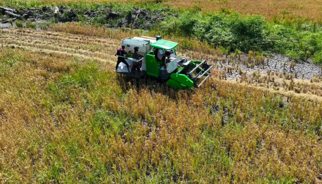 Cetak Sawah Rakyat Papua