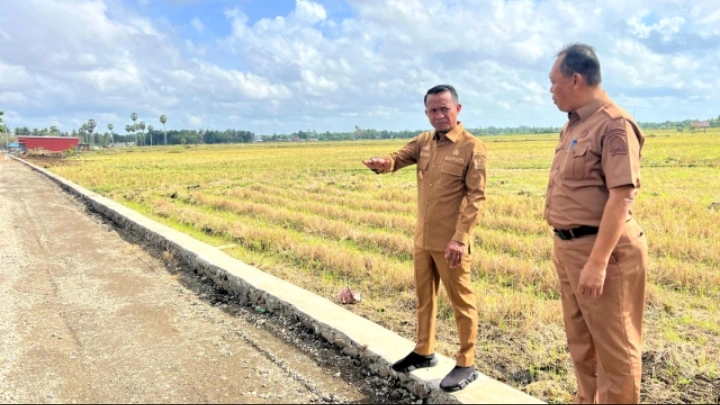 Bupati Bone saat memantau pertumbuhan ekonomi sektor pertanian di Bone