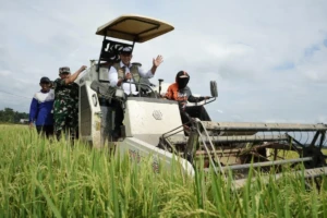 Kegiatan penyerapan gabah dan beras Perum BULOG