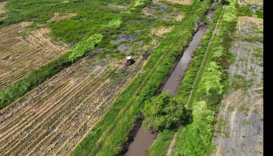 Produksi padi Kabupaten Merauke pada 2025 melonjak 66,46 persen menjadi 362.542 ton GKG. Program Optimalisasi Lahan (OPLAH) dan Cetak Sawah Rakyat dinilai menjadi faktor utama peningkatan produksi dan kesejahteraan petani.