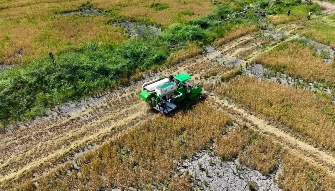 Program Cetak Sawah Rakyat di Papua meningkatkan produktivitas padi, memperkuat ketahanan pangan, dan meningkatkan kesejahteraan petani dengan dukungan alsintan, benih, serta irigasi