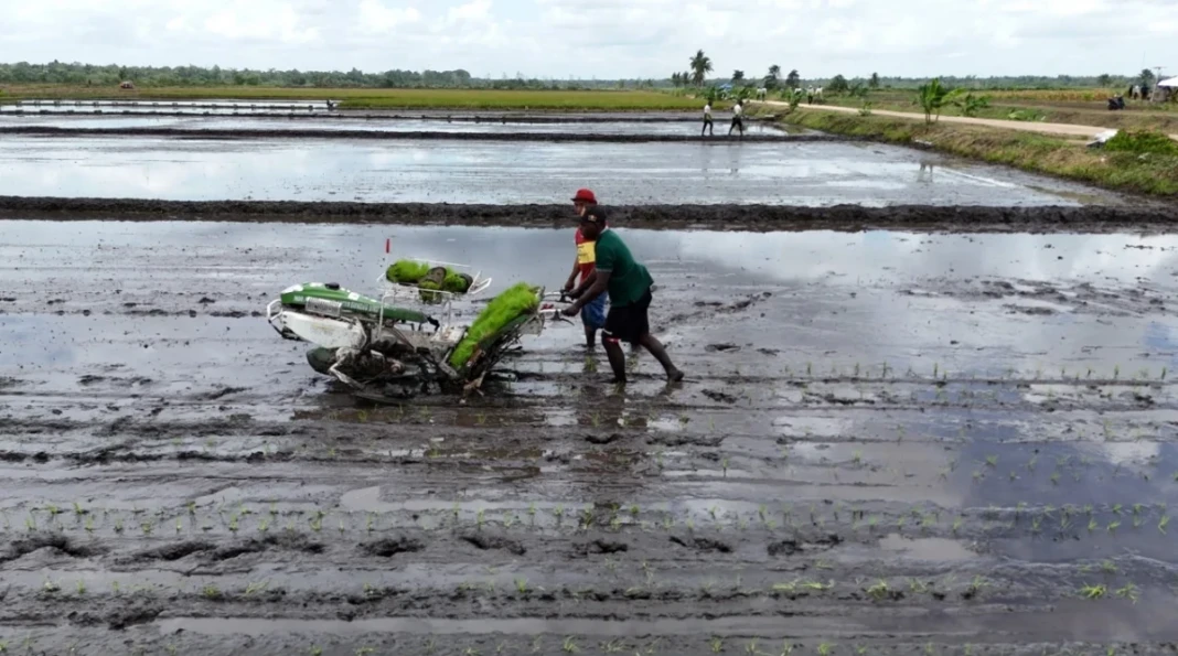 Pengembangan lahan