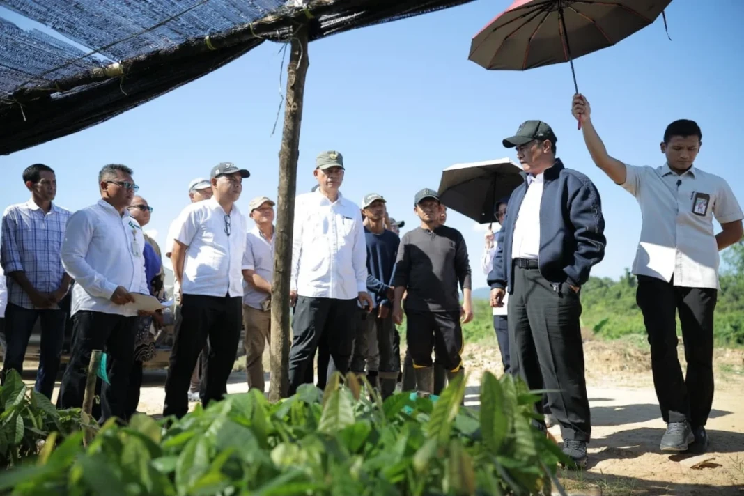 Menteri Pertanian (Mentan) Andi Amran Sulaiman melakukan inspeksi mendadak (sidak) ke kebun pembibitan kelapa dan kakao di Desa Lamomea, Kecamatan Konda, Kabupaten Konawe Selatan, Sulawesi Tenggara, Sabtu (6/6/2026)