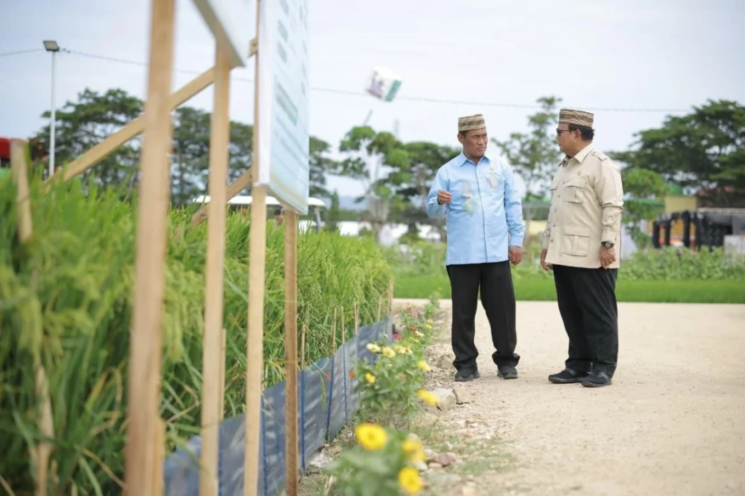 Presiden Prabowo Subianto bersama Menteri Pertanian meninjau area pertanian pada kegiatan PENAS XVII 2026 di Gorontalo.