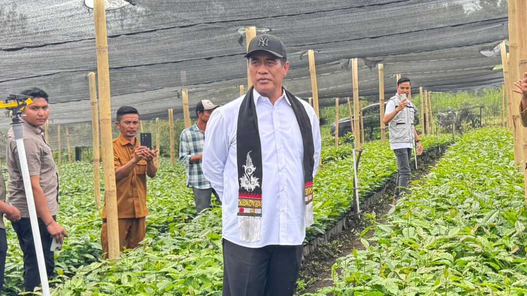 Menteri Pertanian Andi Amran Sulaiman meninjau bibit kopi di kebun perbenihan Kopi Gayo di Bener Meriah, Aceh.