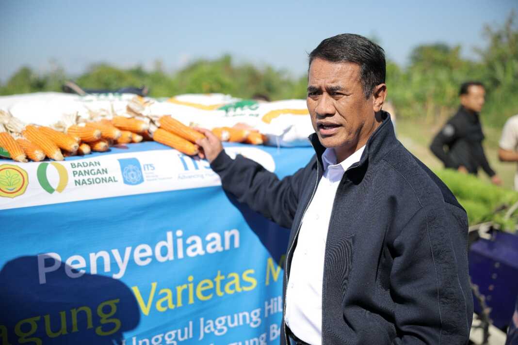 Menteri Pertanian Andi Amran Sulaiman meninjau benih jagung unggul hasil inovasi ITS saat kunjungan di Sidoarjo, Jawa Timur.