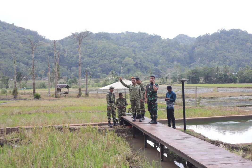Bupati Bone Andi Asman Sulaiman meninjau pengembangan mina padi di Desa Pattuku, Bontocani