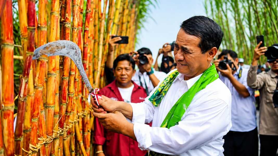 Mentan Amran panen tebu.